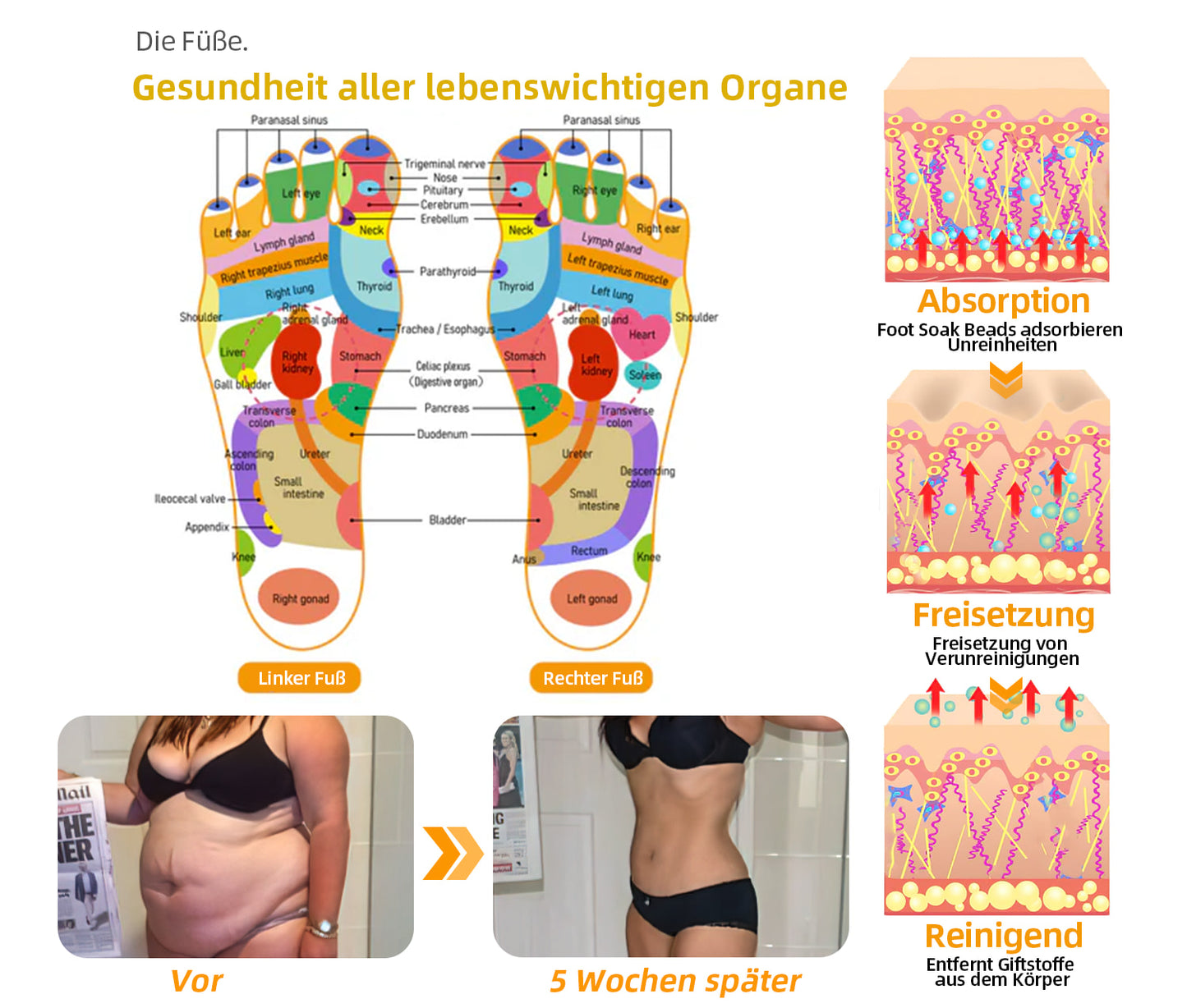 Letzter Tag, um 70 % RABATT zu erhalten: Tnnedey® Bienengift- & 30-Kräuter-Detox-Fußbad-Perlen zur Körperformung – Empfohlen von der Deutschen Lymphatischen Akademie (DLA) 🧀